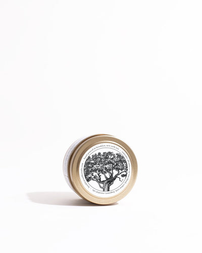 Palo Santo Gold Travel Candle by Brooklyn Candle Studio