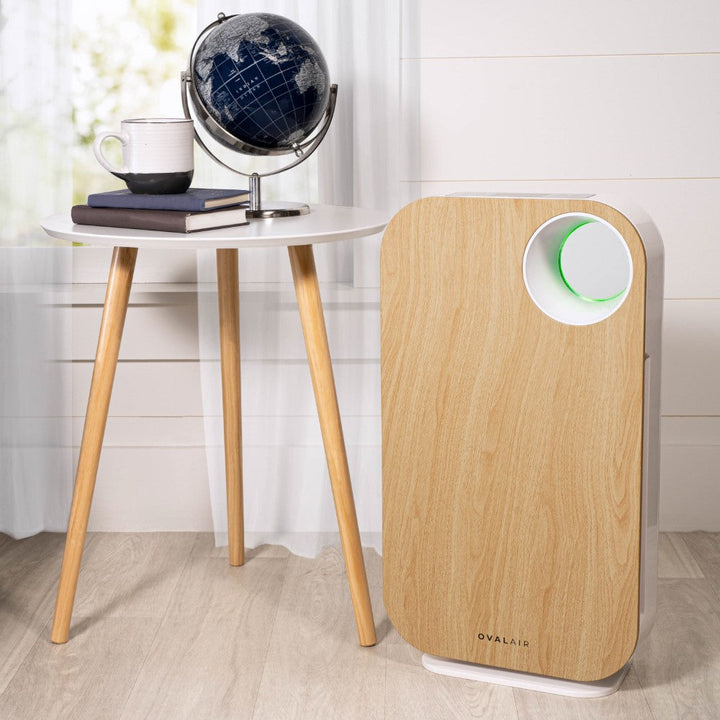 Oval Air Purifier by OVAL AIR