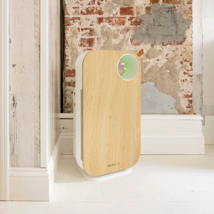 Oval Air Purifier by OVAL AIR