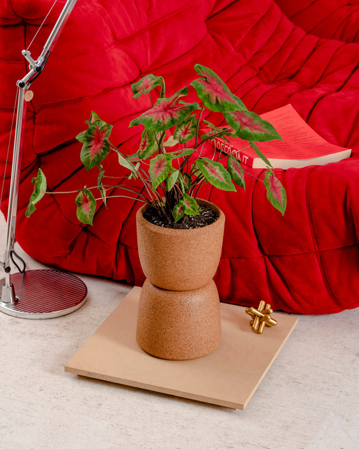 Cloud Planter by Craighill