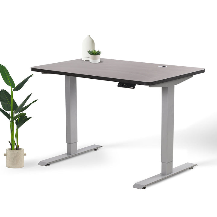 Home Office Standing Desk by EFFYDESK