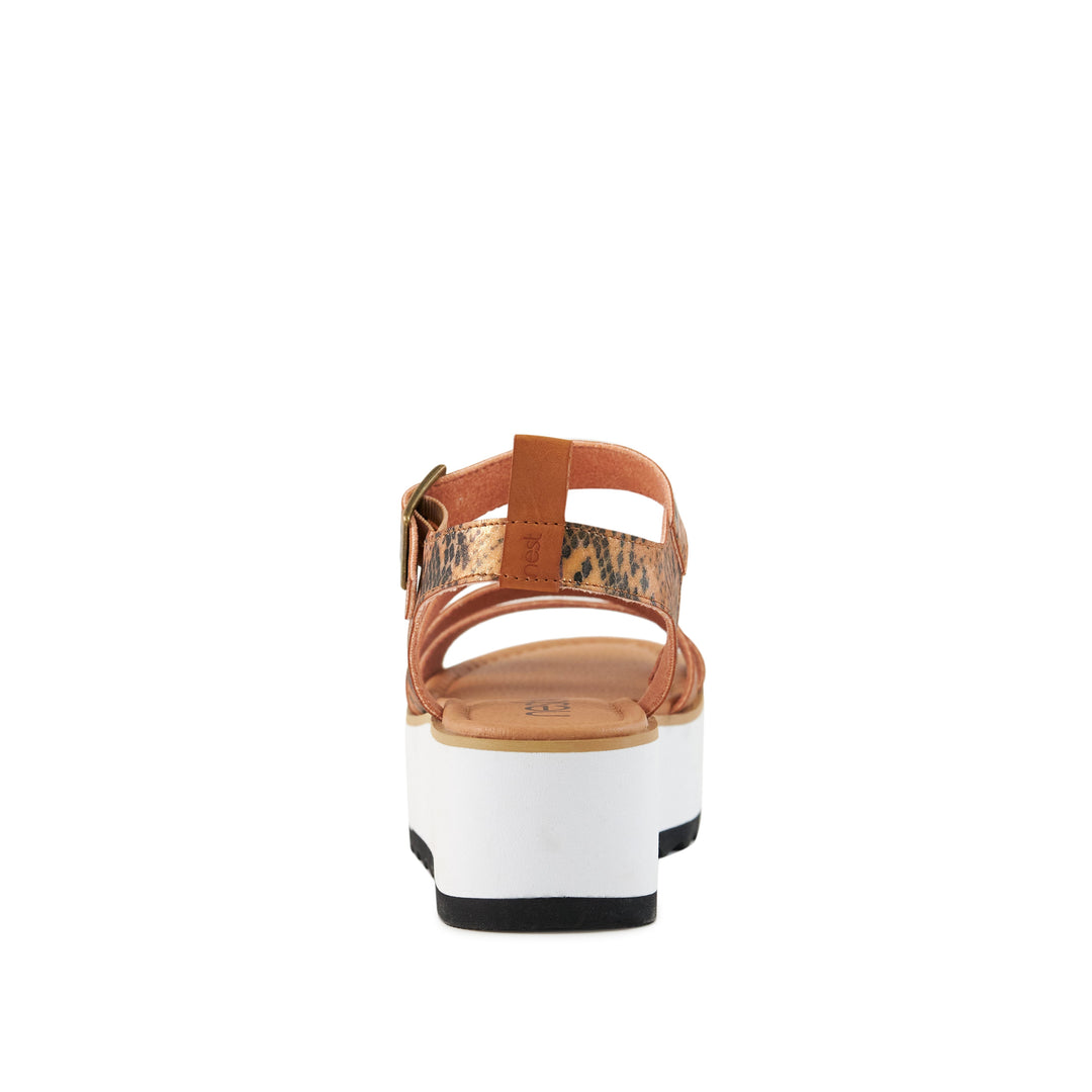 Women's Platform Sandal Kauai Snake-Tan by Nest Shoes