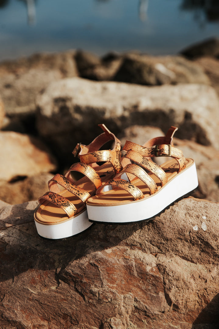 Women's Platform Sandal Kauai Snake-Tan by Nest Shoes