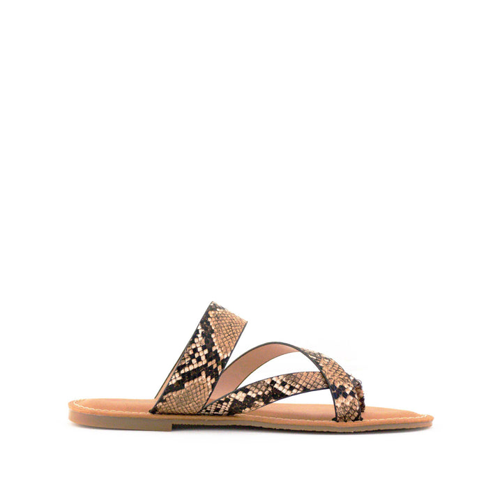 Women's Peak Thong Sandal Snakeskin by Nest Shoes