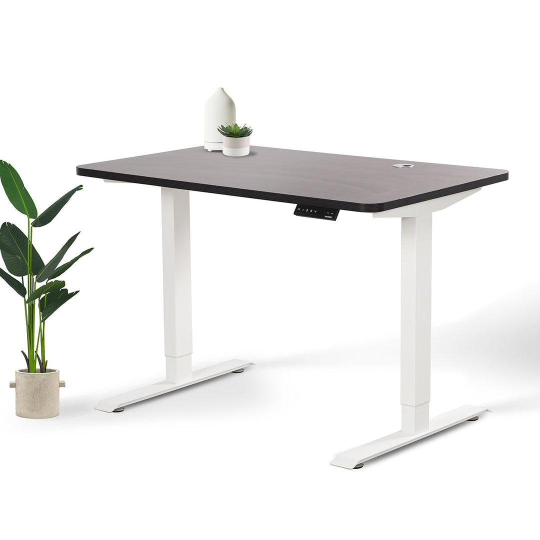 Home Office Standing Desk by EFFYDESK