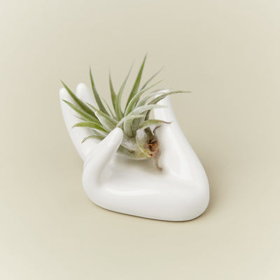 Ceramic 'Hand' by House Plant Shop