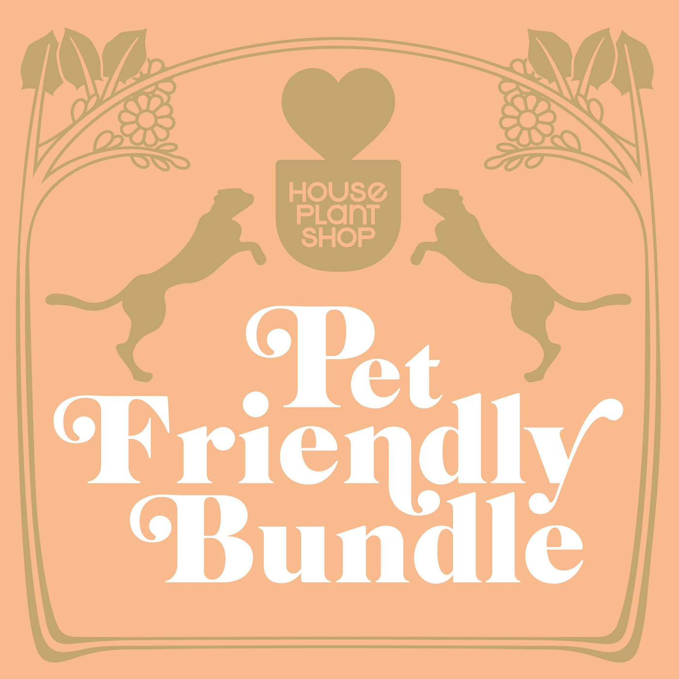 Pet Friendly Variety Bundle by House Plant Shop