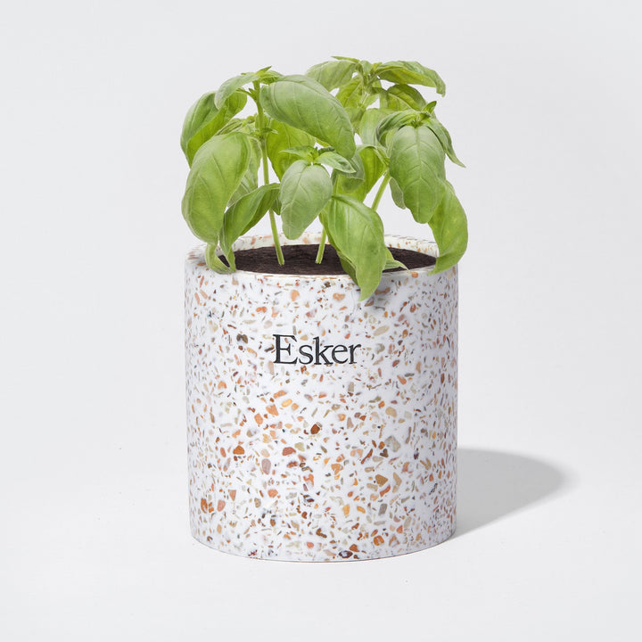 Terrazzo Plantable Candle by Esker